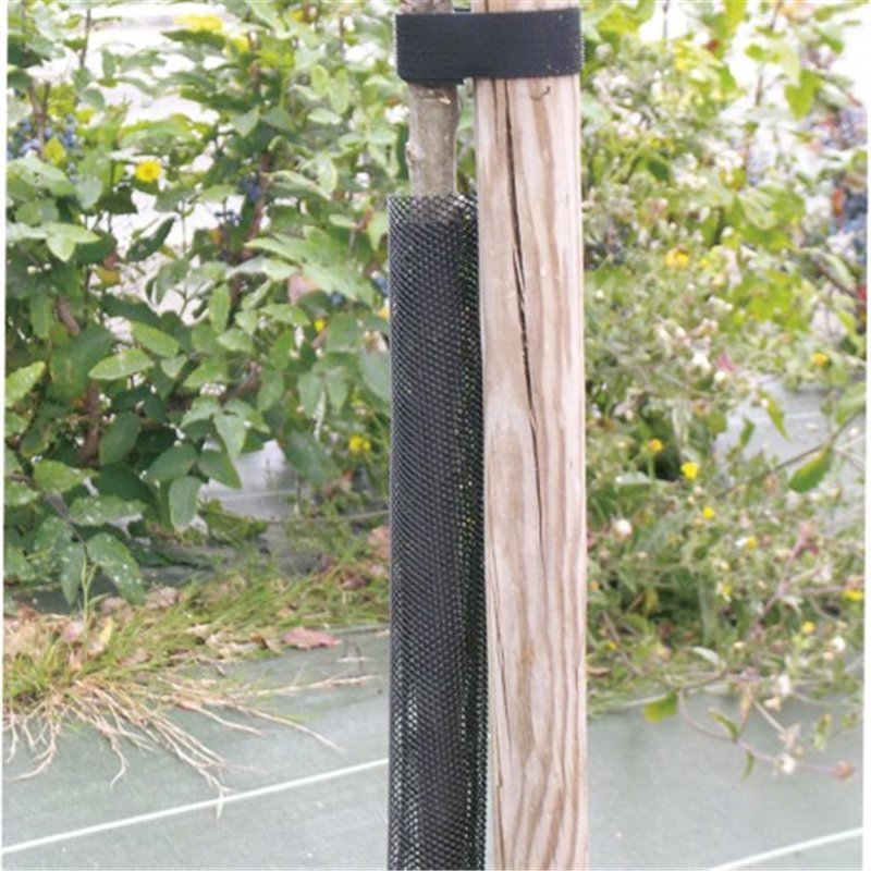 Trebor  122001