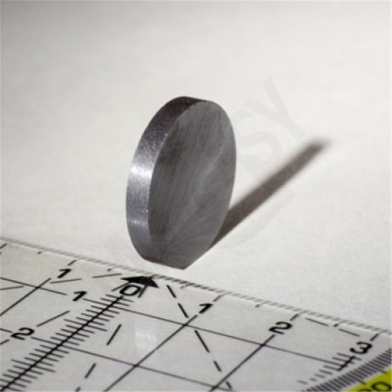 Trebor Magnet 20x3mm anisotrop 5ks 10346
