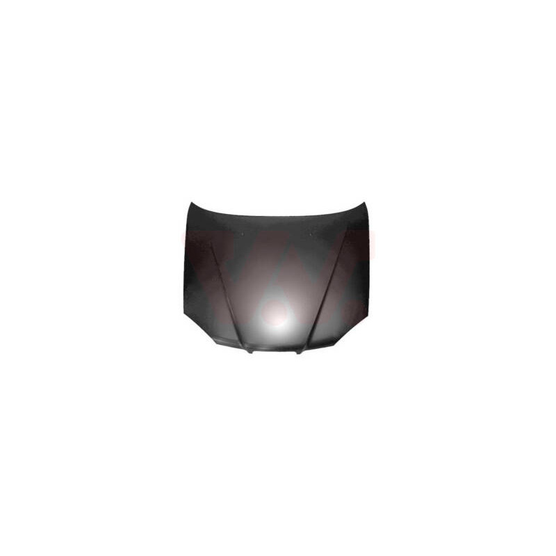 VAN WEZEL Kapota motora 0833660