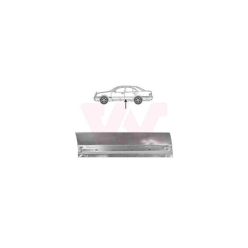 VAN WEZEL Dvere, karoseria 3028177