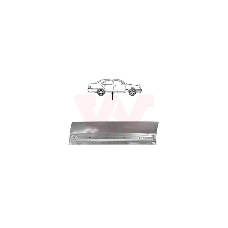 VAN WEZEL Dvere, karoseria 3028178