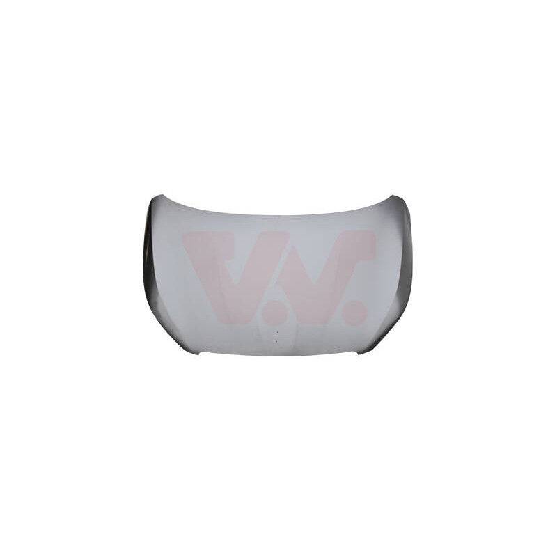 VAN WEZEL Kapota motora 4081660