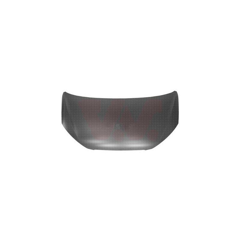 VAN WEZEL Kapota motora 4905660