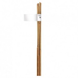 Trebor Bambusová tyč prírodná o10-12mmx1,2m 140833