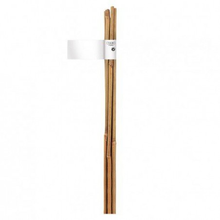 Trebor Bambusová tyč prírodná o8-10mmx0,9m 140832