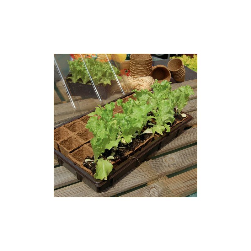 Trebor Mini skleník Growing Kit 38x23cm 160008