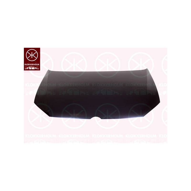 Kapota motora - 9507280A1