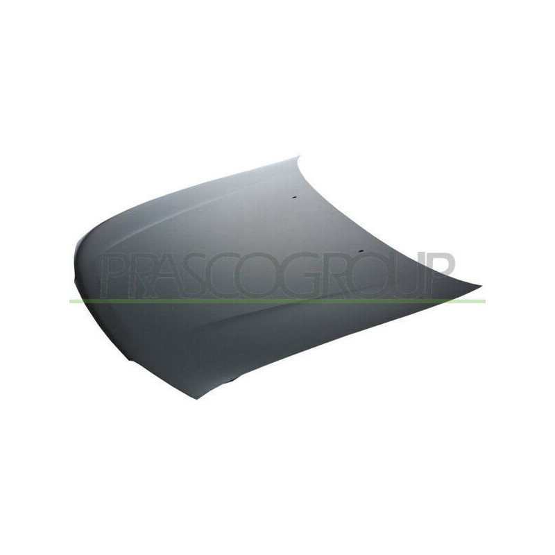 Kapota motora - DS1763100