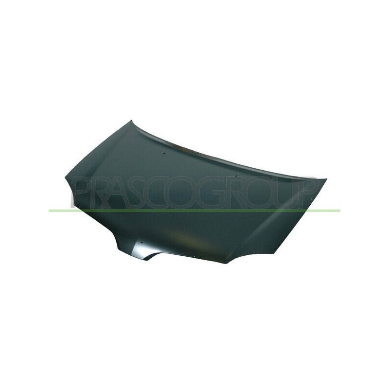 Kapota motora - DS4223100