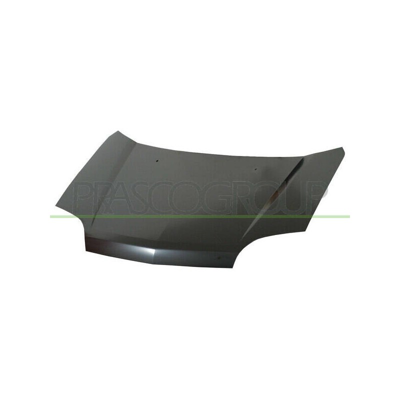 Kapota motora - DS8303100